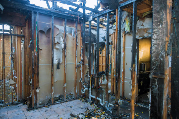 Professional Fire Damage Assessment technician working in Line Lexington, PA